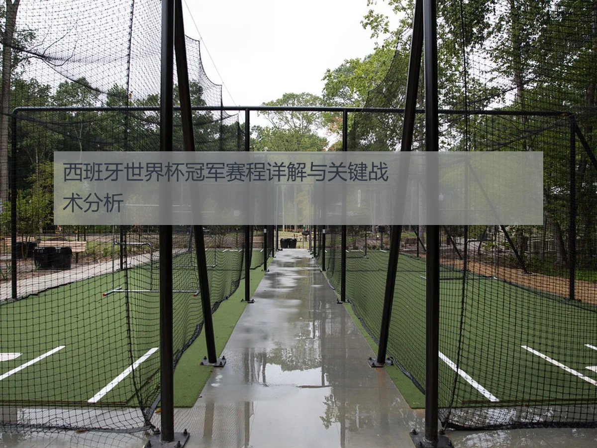 西班牙世界杯冠军赛程详解与关键战术分析